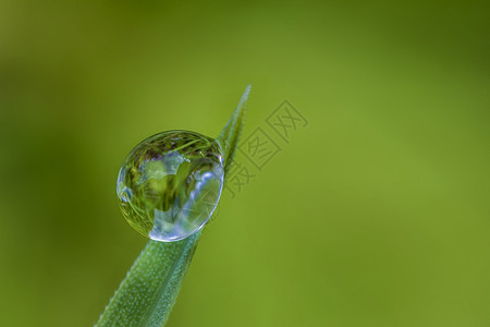 最后一滴眼泪在绿叶上滴一滴的宏 模糊的背景背景