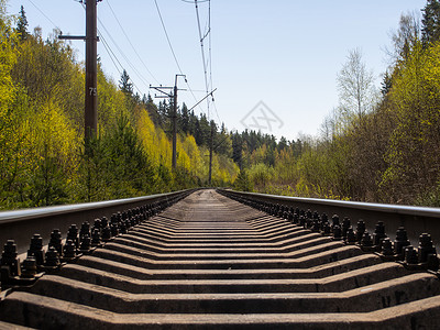 林带中的单轨铁路 有铁路的工业景观 透视 铁轨冲向远方的地平线背景图片