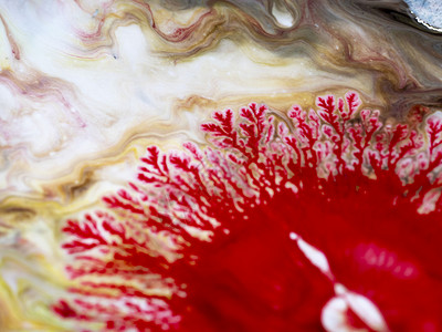 从多色背景的点子上 产生独特的红色油漆线发芽质感照片艺术液体线程背景图片