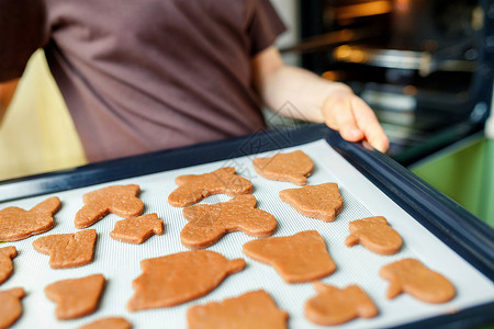 烘烤板上抗热硅片垫子上各种形状的自制饼干 将在烤炉中烤熟 选择性软聚焦点背景图片