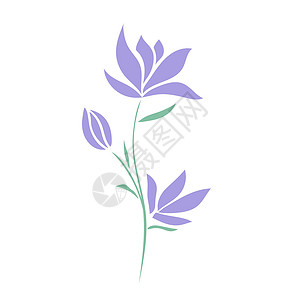 紫色精细单一花朵矢量背景图片