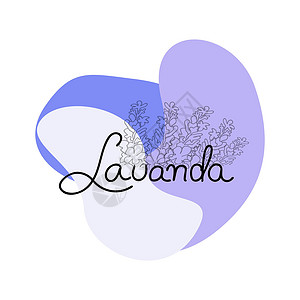 拉凡塔勒紫色的抽象形状 有拉凡达字母和熏衣草花插画