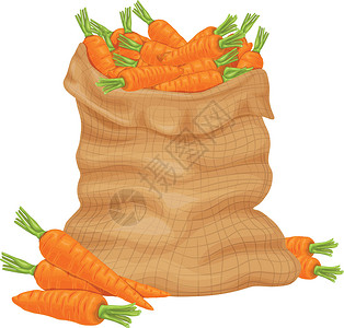 粗麻布胡萝卜 一袋成熟的胡萝卜 在袋子里的橙色 成熟的胡萝卜 新鲜蔬菜 农场有机产品 矢量图插画