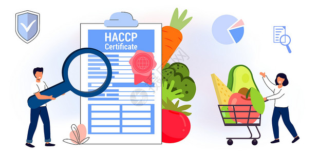 haccpHACCP 危险分析和关键控制点标准缩写简称实验室鉴别审查白色认证准则证书科学家预防生物插画