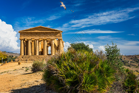 圣殿谷 康科迪亚寺庙 这是在公元前五世纪建造的古希腊神庙 Agrigento 西西里山谷纪念碑考古学柱子文明废墟宗教旅游古董建筑图片