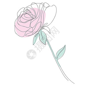 二方连续一个连续线的矢量红玫瑰绘图 以线条艺术风格显示花朵的颜色说明标识婚礼问候生日草图礼物绘画一条线植物植物群设计图片