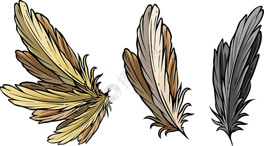 羽众不同毛笔字卡通详细鸟羽和翅膀矢量套装插画