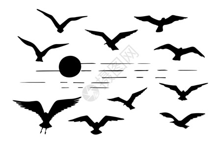 拉林高速一套海鸥环绕着黑色飞鸟插画