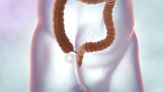 内脏器官和人体排便系统 大型肠胃的医学说明反射消化身体空肠食物橙子蓝色疾病男人生物学背景