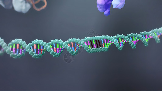 动画教育素材3D动画DNA的遗传结构教育科学家插图染色体技术研究生物学螺旋计算机视效背景