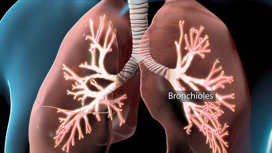 结节病横膈膜呼吸肺纤维化高清图片