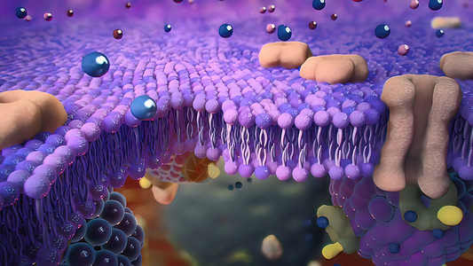 巨噬细胞入室牢房的Ion 频道细胞显微镜渠道药品科学运输荷尔蒙宏观细胞质医疗背景