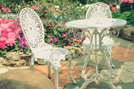花花园公园中的白金属椅子环境绿色座位叶子公园家具花园场景植物背景图片