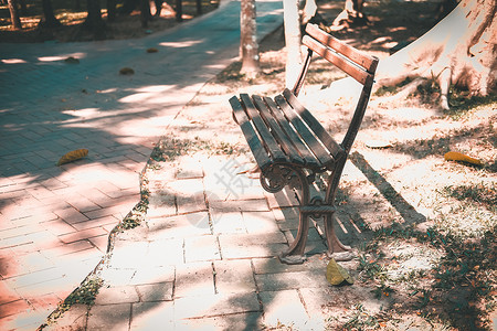 花园公园的椅子椅背景图片