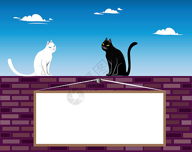 白色板子一只黑白猫的例证 两只猫 黑色和白色 坐在砖墙上 云在天空中漂浮 墙上有一块板子 上面写着任何可爱的信息插画