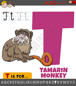 字母T T 用漫画塔马林猴子的字母表高清图片