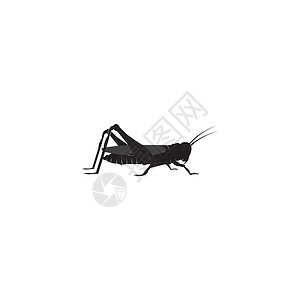木柱漏洞蟋蟀昆虫食物动物商业标签花园蚂蚁料斗插画