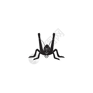 品牌大素材网木柱字形艺术动物生物学元素卡通片昆虫花园收藏料斗插画