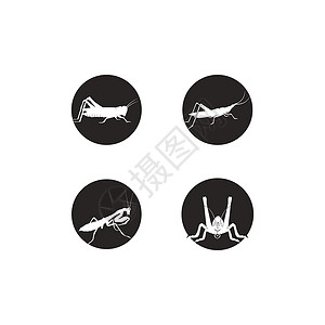 蟋蟀木柱昆虫设计标签漏洞商业卡通片动物蚂蚁元素收藏插画
