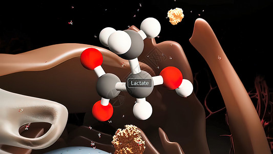 不容忍的乳糖 碳水合物 含有一个葡萄糖分子和一个连接在一起的银极糖分子制药生物双糖卫生酵素生物学代谢技术药理哺乳期背景