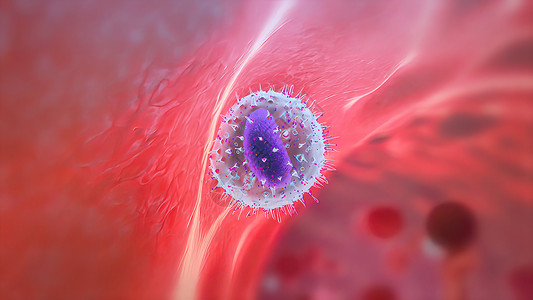 细木板是一个单能干细胞 它区分成电效应器生长遗传细胞模式生物学化学改造高分子螺旋研究背景