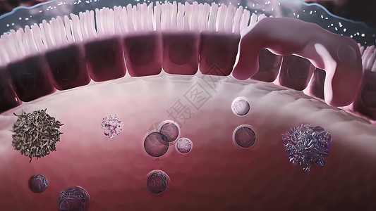 免疫系统及防御系统计算机细胞癌细胞细菌生活生理微生物科学病原抗体图片