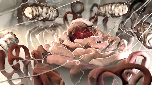 蜘蛛透明素材3D 细胞内部科学3D实验室纳米宏观乘法受精卵黑色生活生物微生物学图案背景
