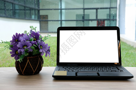 办公桌上花盆中的电脑和花 业务工作区职场桌子技术笔记本办公室教育背景图片