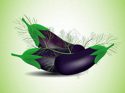 天然紫茄子质朴的插图 素食晚餐 绿色农场 紫茄子 美味佳肴树叶饮食美食食物芳香收藏厨房义者植物营养插画