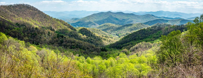 蔚山巴威Pisgah国家森林的景观风景观蓝色草地最高点光头风景祖父岩石全景山脉数控背景