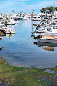 金士顿岛水面小船钓鱼码头岩石海滩市中心海岸线港口浮桥城市贝类背景