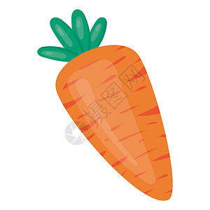 平式新鲜橙红胡萝卜背景图片