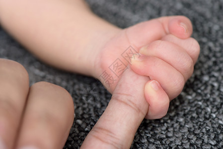 新生婴儿小手家庭毯子后代柔软度投标孩子皮肤宏观手指童年背景图片