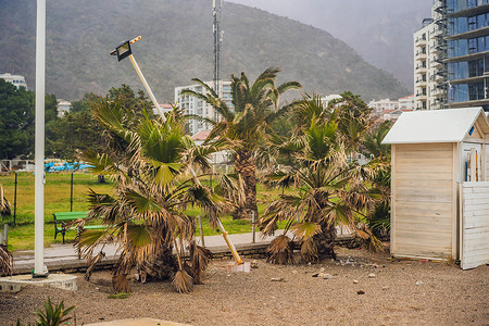 热带气候下的热带风暴 大雨和大风 棕榈树在热带风暴的风中摇曳棕榈季风旅行地球洪水季节台风公园倾盆大雨海岸背景图片