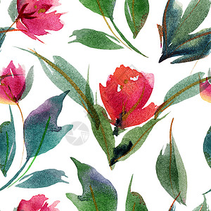 牡丹图案水彩色无缝的图案印花布全身插图香水墙纸纺织品牡丹花园印花包装纸背景