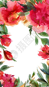粉红小松鼠植物水彩色平方肖像背景领导印花布横幅问候语插图框架牡丹邀请函花园荒野背景图片