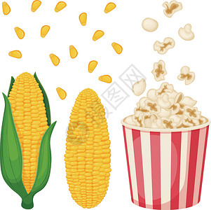 玉米穗玉米 带叶子的玉米图像 一穗玉米 桶里的爆米花 炸玉米 矢量图插画