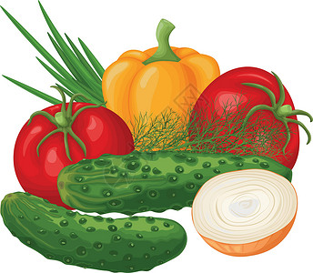 黄瓜叶子蔬菜 带有成熟蔬菜的图像 例如黄瓜 西红柿 甜椒 洋葱和莳萝 来自花园的有机产品 维生素产品 矢量图插画