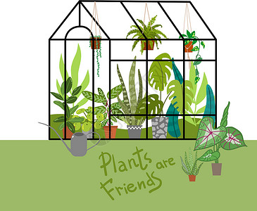 鲍家花园家庭种植矢量插图 城市丛林 植物是朋友播种机花园园艺竹芋温室树叶湿气植物群房间热带插画