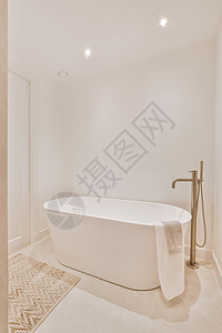 高级厕所设计房地产洗澡风格住宅房间财富房子浴缸奢华公寓背景图片