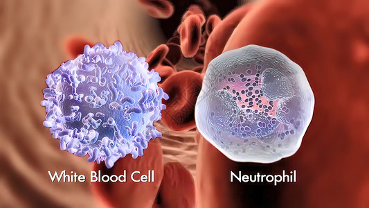 3d 白血球肺部渲染微生物学生物黑色白细胞生物学细胞科学生活显微镜背景图片