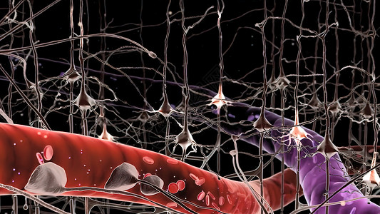 脑电波中枢和突触是医学插图冲动树突信号生物电气生物学功能科学神经元网络背景