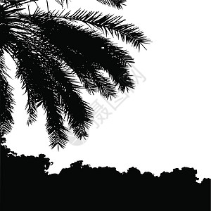 泰国涛岛棕榈树矢量剪影 椰子树与椰子矢量 海滩矢量树 每股收益 1叶子收藏艺术插图植物森林热带天堂可可草图插画