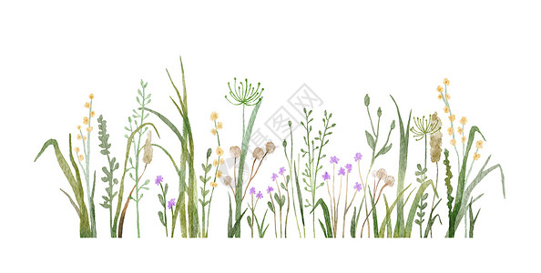 手绘植物草野生草药草和鲜花涂面图示 白本上孤立的有草地和野花田地背景