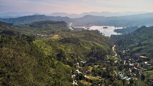 萨西村从亚当峰到达尔豪西村 茶叶种植园 湖泊的景象 11月1日至12月31日田园风光旅行叶子农场天线鸟瞰图高地茶花农业背景