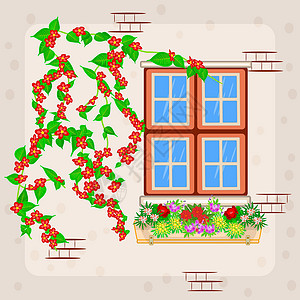 别墅窗台房子或公寓楼窗外装有花盆和攀爬植物的花朵插画