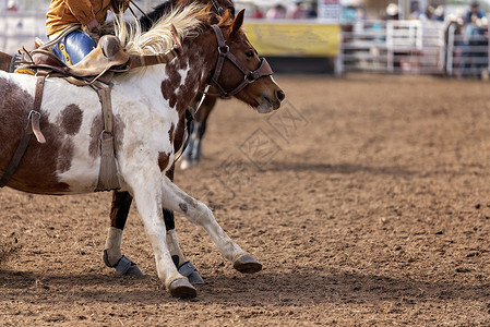 牛仔把无骑士骑马转向罗德奥的中风背景图片