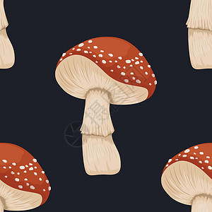 不劳动者不得食无矢量缝合模式 含有毒的不食水蘑菇;在黑色上手工绘制卡通红法丽阿加里格Mushroom插画