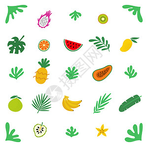 异国情调水果热带手画水果和叶子 方形平方矢量图示在白色上隔离插画