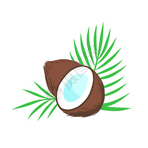 水果棕榈叶用棕榈叶整半的椰子圈 白色上的矢量插图被隔离插画
